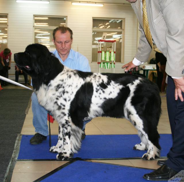 Фотография № 43705