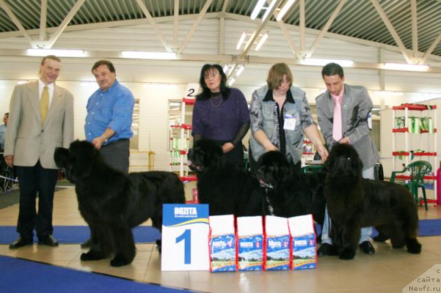 Фотография № 43710