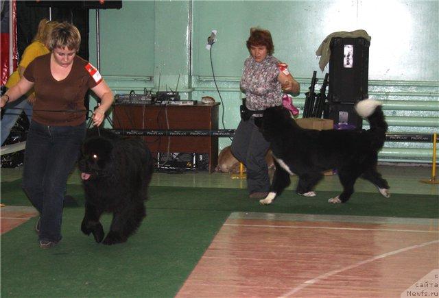 Фотография № 43713