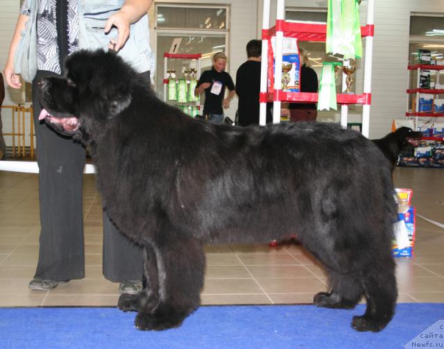 Фотография № 43716