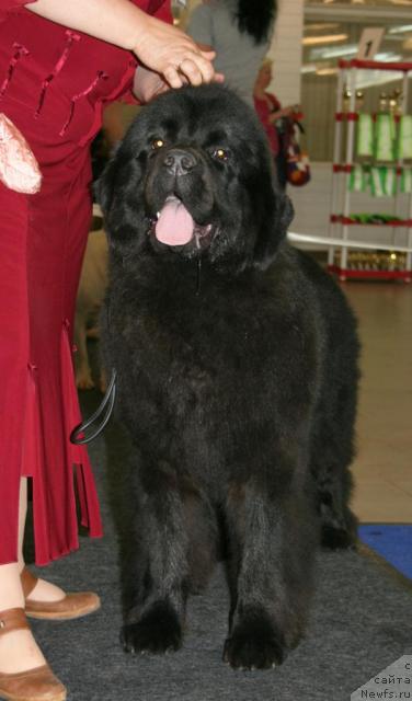 Фотография № 43717