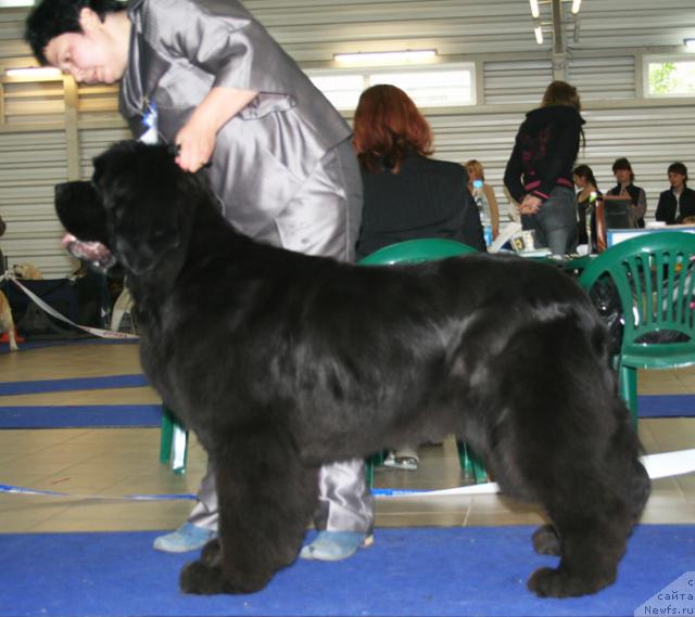 Фотография № 43718