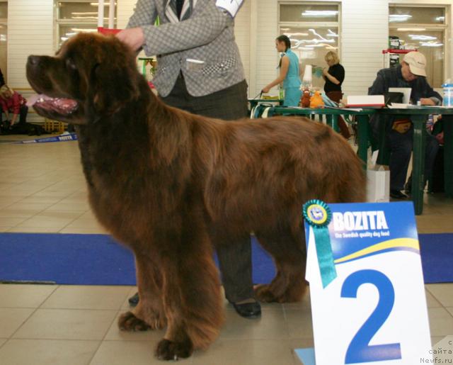 Фотография № 43719