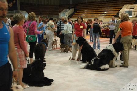 Фотография № 43730