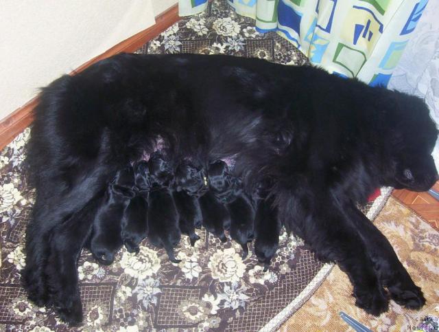 Фотография № 43750