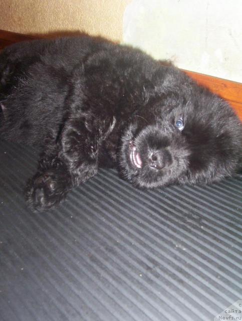 Фотография № 43751