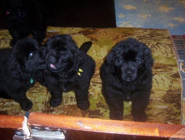 Фотография № 43752