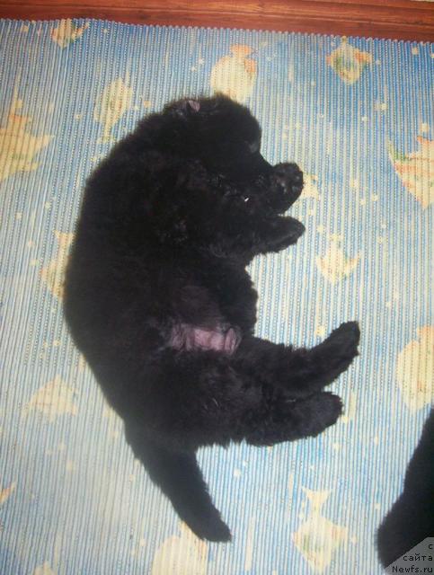 Фотография № 43753