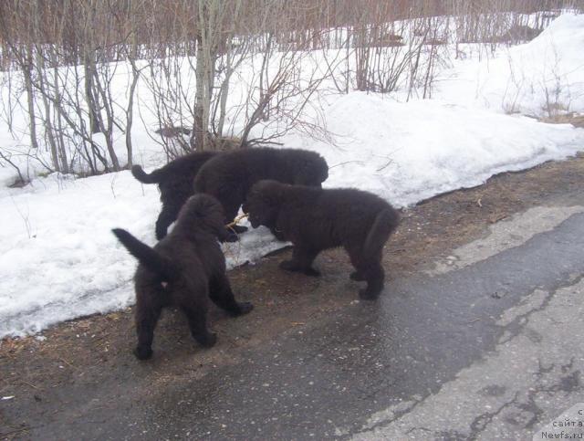 Фотография № 43754