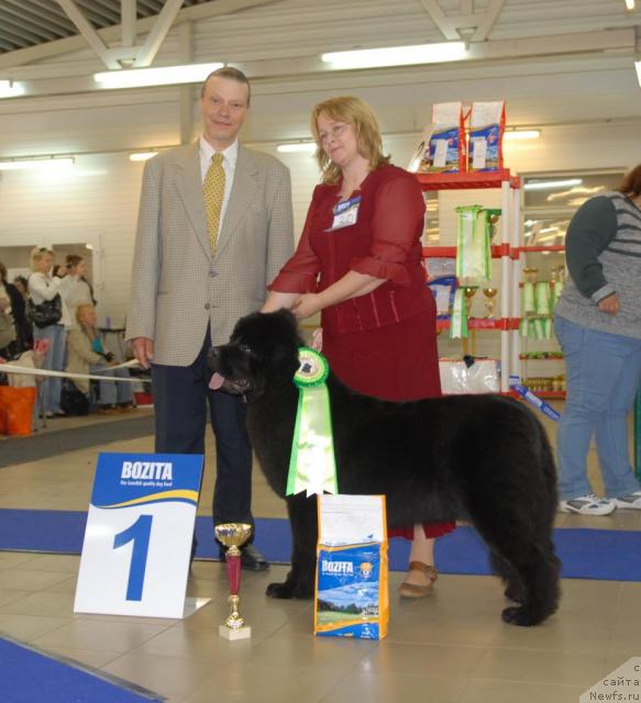 Фотография № 43758