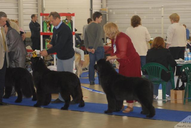 Фотография № 43759