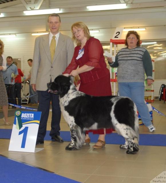 Фотография № 43761