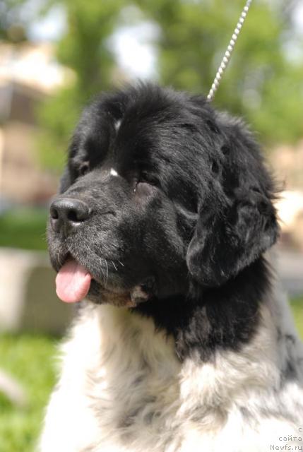 Фотография № 43762