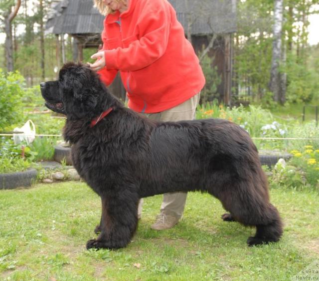 Фотография № 43765