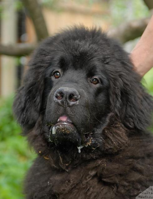 Фотография № 43788