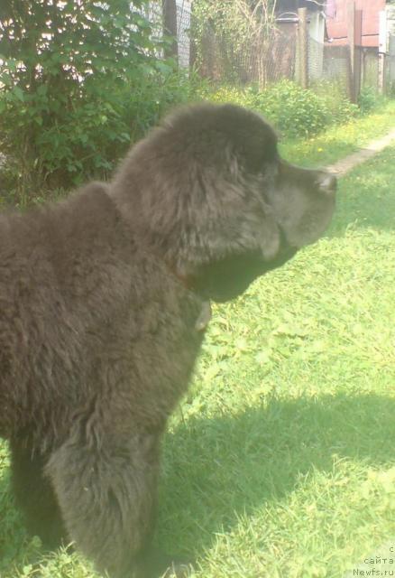 Фотография № 43832