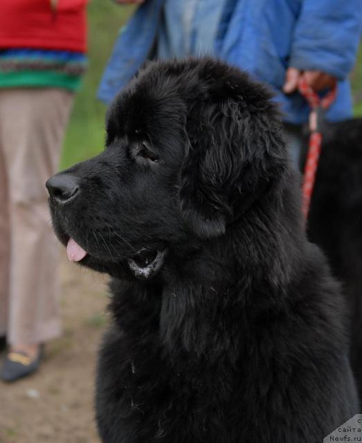 Фотография № 43835