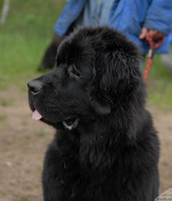 Фотография № 43836