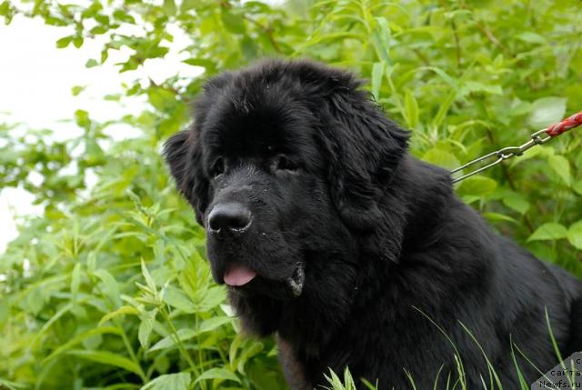 Фотография № 43837