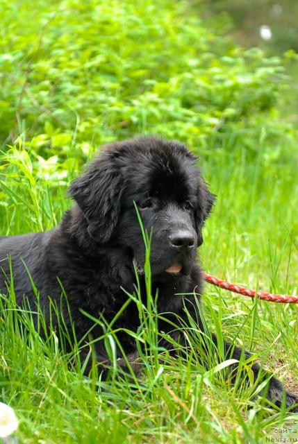 Фотография № 43839