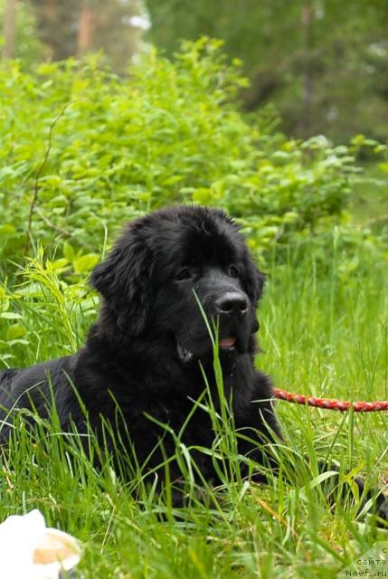 Фотография № 43840