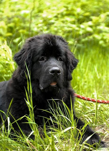 Фотография № 43842