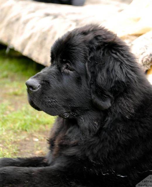 Фотография № 43845