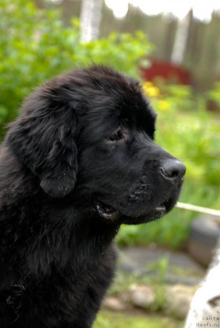 Фотография № 43846