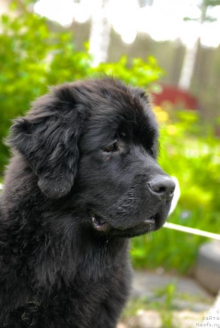 Фотография № 43847