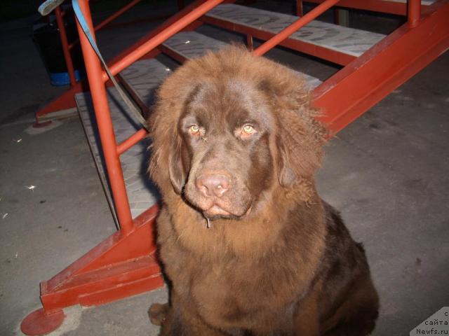 Фотография № 43885