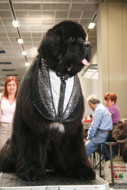 Фотография № 43889