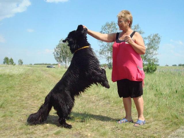 Фотография № 43896