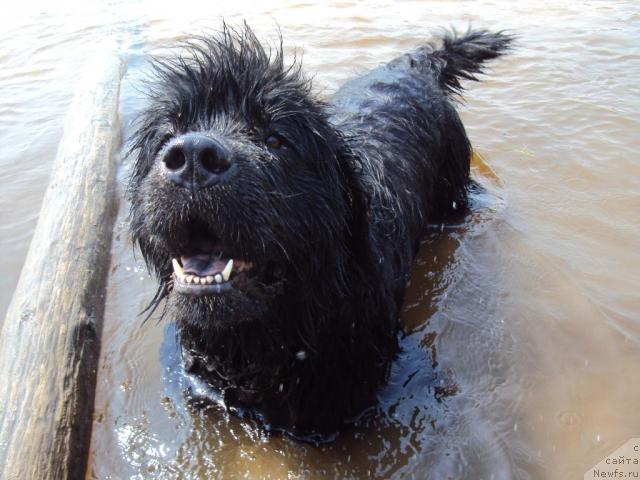 Фотография № 43917