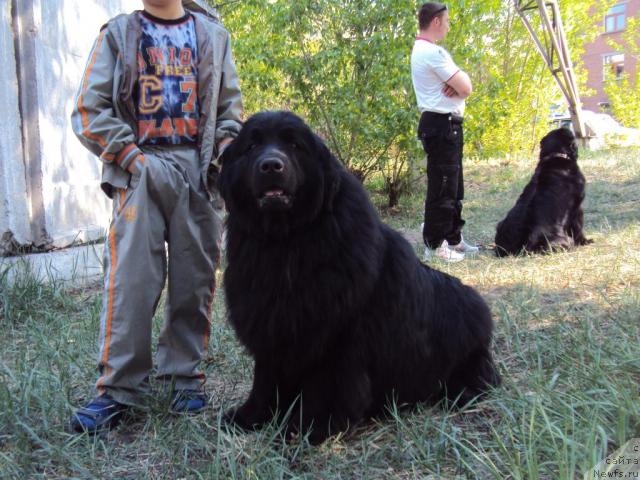 Фотография № 43919