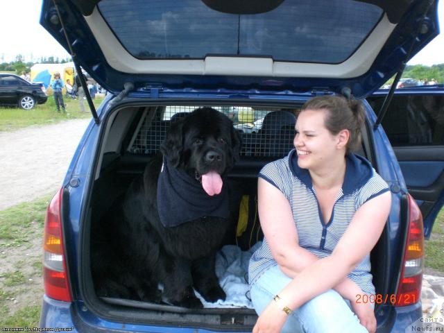 Фото: ньюфаундленд Яника Омичка от Марлеон Дусвик