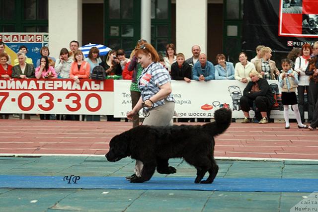 Фотография № 43942