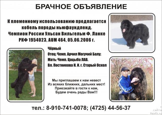 Фотография № 43959