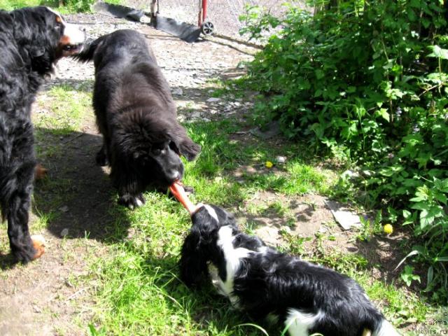 Фотография № 43965