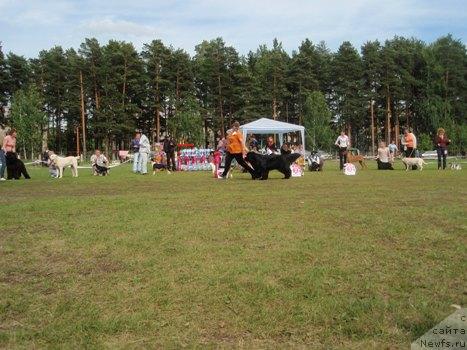 Фотография № 44024