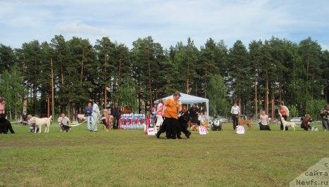 Фотография № 44025