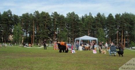 Фотография № 44026