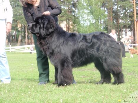 Фотография № 44030