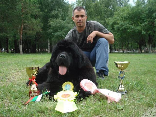 Фотография № 44033