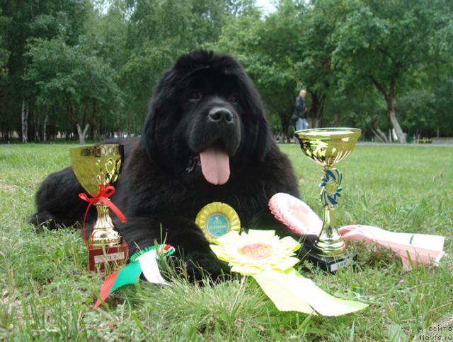 Фотография № 44035