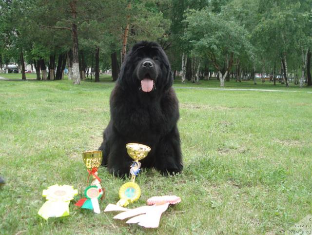 Фотография № 44036