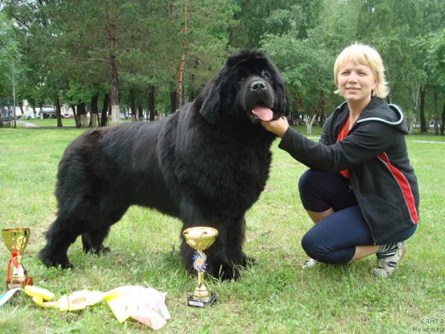 Фотография № 44037