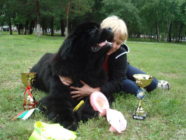 Фото: ньюфаундленд King of Helluland Good Friend, Елена Горбунова