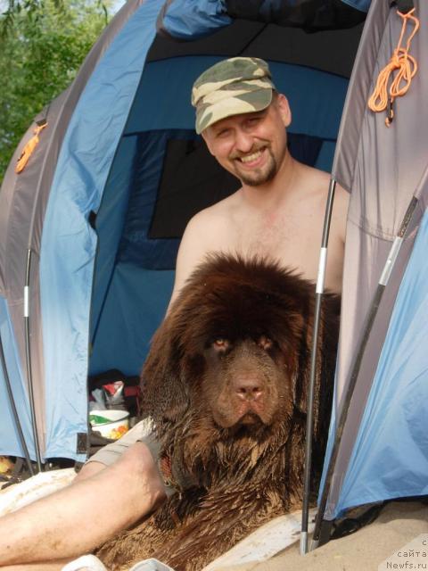 Фото: Андрей Ларин, ньюфаундленд Звездная Тоскана Лесная Раскрасавица