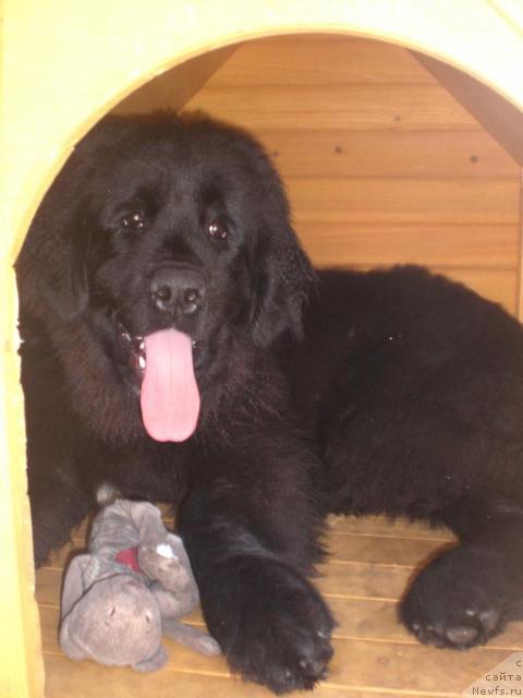 Фото: Ирина Вершинина