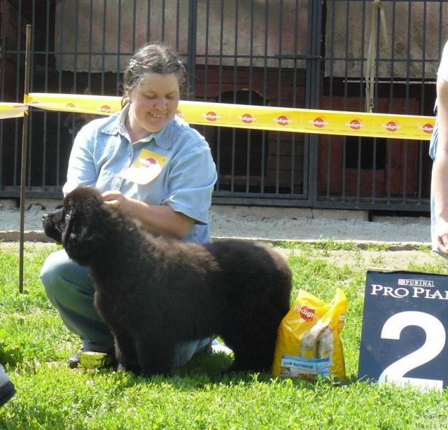 Фотография № 44074